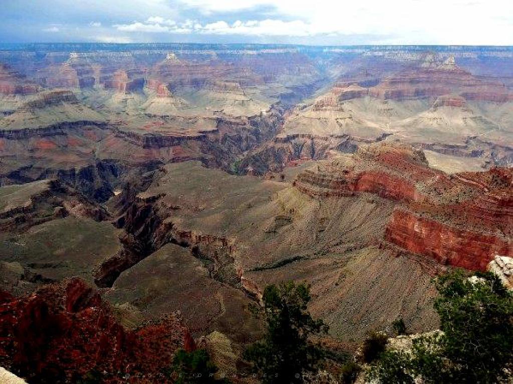 107  USA LE GRAND CANYON 2005_000045.jpg